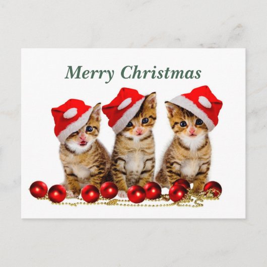 Vrolijk kerstkatten briefkaart (Voorkant)