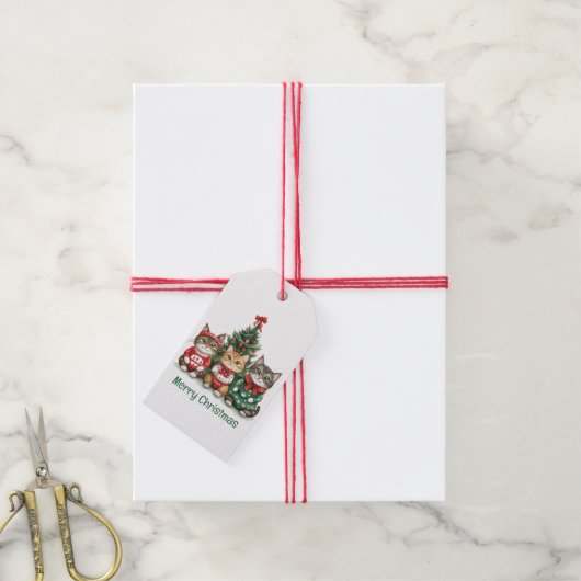 Vrolijk kerstkatten cadeaulabel (Met Touw)