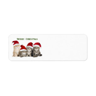 Vrolijk kerstkatten etiket