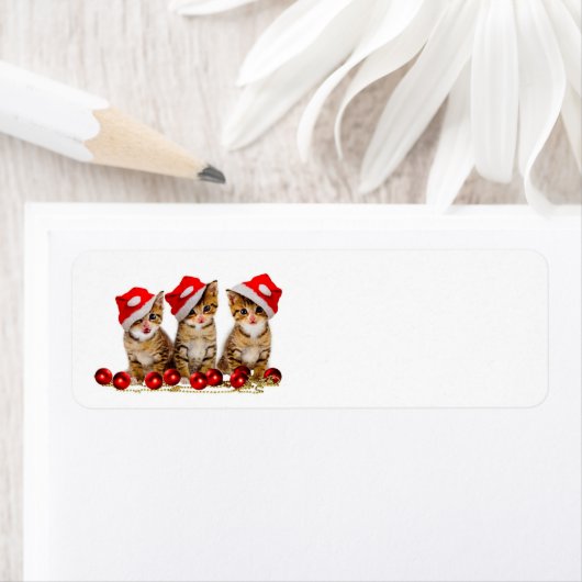 Vrolijk kerstkatten etiket (Insitu)