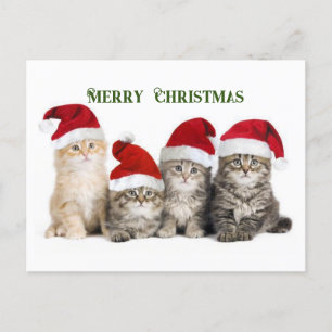 Vrolijk kerstkatten feestdagenkaart