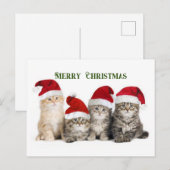 Vrolijk kerstkatten feestdagenkaart (Voorkant / Achterkant)
