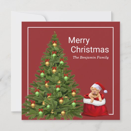 Vrolijk kerstkerstkerstkerstkerstkerstkerstcadeus  feestdagenkaart (Voorkant)