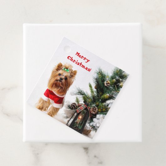 Vrolijk kerstkerstkerstkerstkerstkerstkerstkerstfe bedankjes labels (In situ)