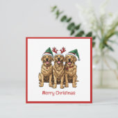 Vrolijk Kerstmis Gouden Retriever Honden Feestdagenkaart (Staand voorkant)