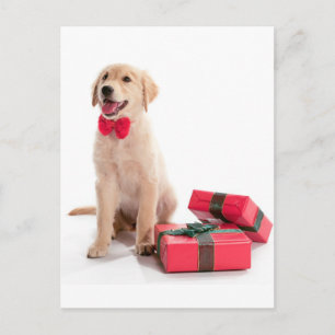 Vrolijk Kerstmis Gouden Retriever Puppy Feestdagenkaart