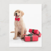 Vrolijk Kerstmis Gouden Retriever Puppy Feestdagenkaart (Voorkant)