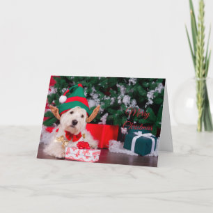 Vrolijk Kerstmis Leuke Puppy in Elf Kostuum Kaart