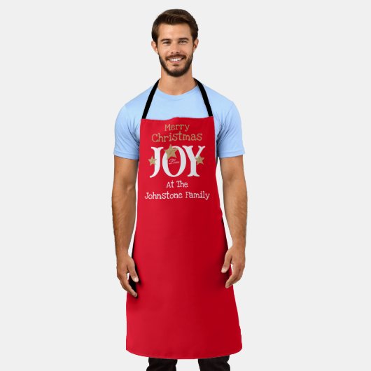 Vrolijk Kerstmis Naam Script Cool Chic Schattige R Schort (Gedragen)