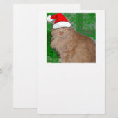 Vrolijk Kerstmis Oranje Tabby Poesje Briefpapier (Voorkant / Achterkant)