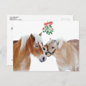 Vrolijk Kerstmis Paard Mistletoe Equine Leuke Pony Feestdagenkaart (Voorkant / Achterkant)