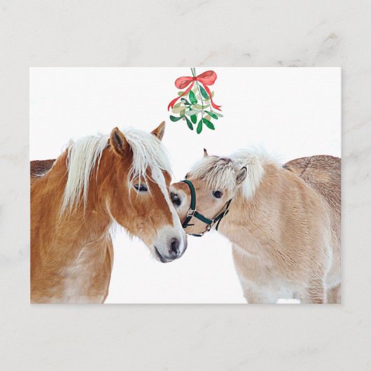 Vrolijk Kerstmis Paard Mistletoe Equine Leuke Pony Feestdagenkaart (Voorkant)