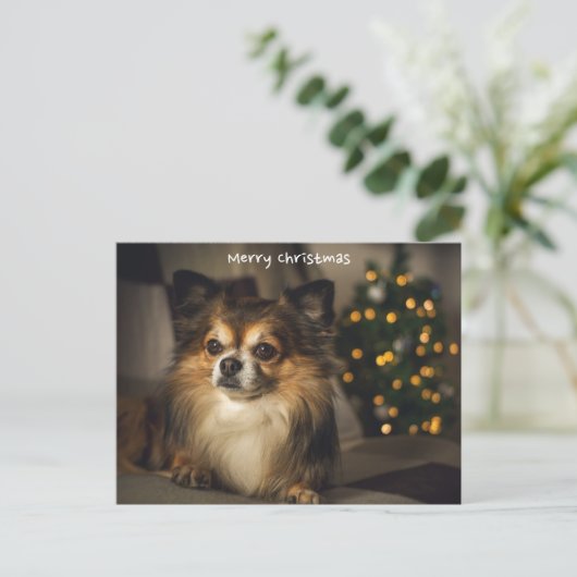 Vrolijk Kerstmis Pet/Hond Chihuahua Feestdagenkaart (Staand voorkant)