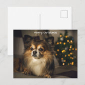 Vrolijk Kerstmis Pet/Hond Chihuahua Feestdagenkaart (Voorkant / Achterkant)