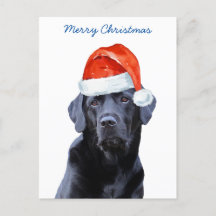 Vrolijk Kerstmis Schattige Santa Dog Labrador