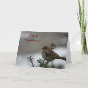 Vrolijk kerstmus! feestdagen kaart
