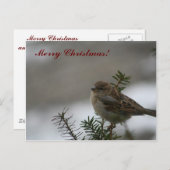 Vrolijk kerstmus! feestdagenkaart (Voorkant / Achterkant)