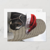 Vrolijk kerstpaard met kerstman feestdagenkaart (Voorkant / Achterkant)