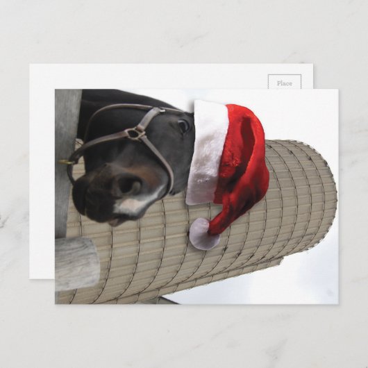 Vrolijk kerstpaard met kerstman feestdagenkaart (Voorkant / Achterkant)