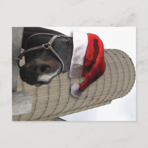 Vrolijk kerstpaard met kerstman feestdagenkaart