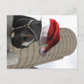 Vrolijk kerstpaard met kerstman feestdagenkaart (Voorkant)