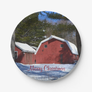 Vrolijk kerstpapier Bord