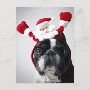 Vrolijk kerstportret van Franse bulldog Feestdagenkaart