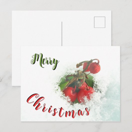 Vrolijk kerstrode bessen uit het sneeuwBriefkaart Briefkaart (Voorkant / Achterkant)
