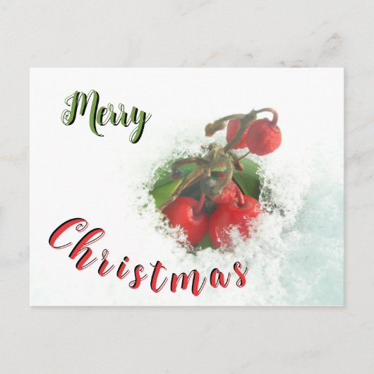 Vrolijk kerstrode bessen uit het sneeuwBriefkaart Briefkaart (Voorkant)