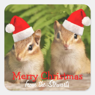 Vrolijk kerstvierkant labels met Baby Chipmunks