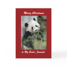 Vrolijk kerstWenskaart Panda, Rode Grens