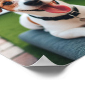 vrolijk lachende Jack Russell Terrier Poster (Hoek)