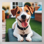 vrolijk lachende Jack Russell Terrier Poster (Voorkant)