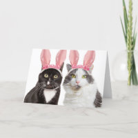 Vrolijk Paasjaar twee katten in Bunny Ears Humor