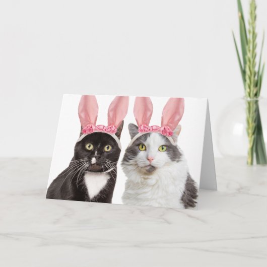 Vrolijk Paasjaar twee katten in Bunny Ears Humor Feestdagen Kaart (Voorkant)