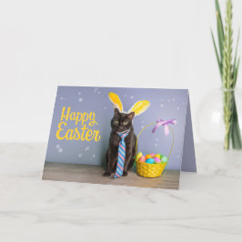 Vrolijk paasje voor iedereen die kletskat in Bunny Feestdagen Kaart