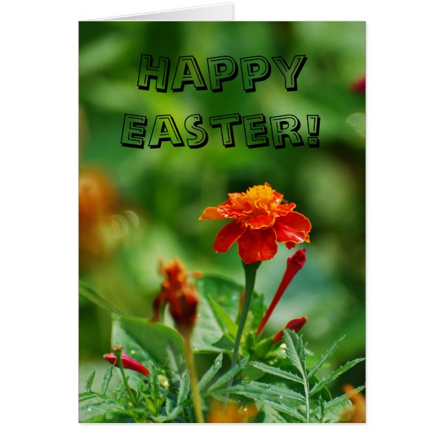 Vrolijk Pasen. (Voorkant)