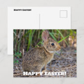 Vrolijk Pasen. Briefkaart (Voorkant / Achterkant)