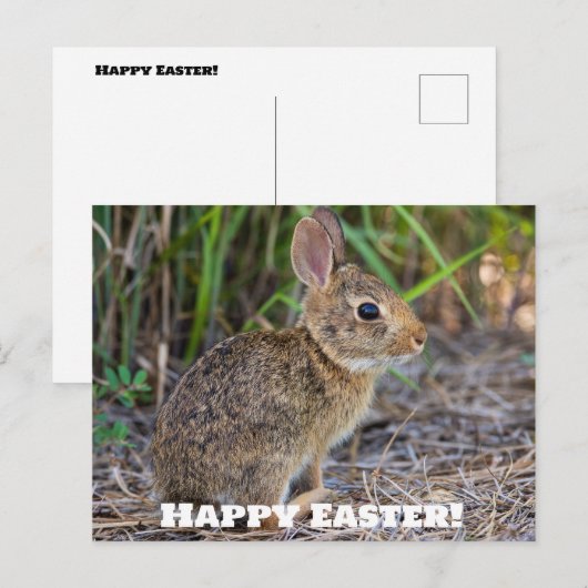 Vrolijk Pasen. Briefkaart (Voorkant / Achterkant)