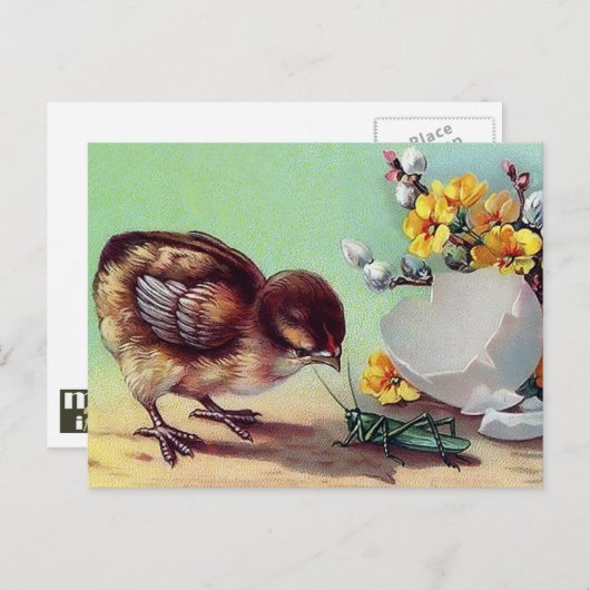 Vrolijk Pasen.  Chick Feestdagenkaart (Voorkant / Achterkant)