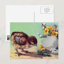 Vrolijk Pasen. Chick Feestdagenkaart