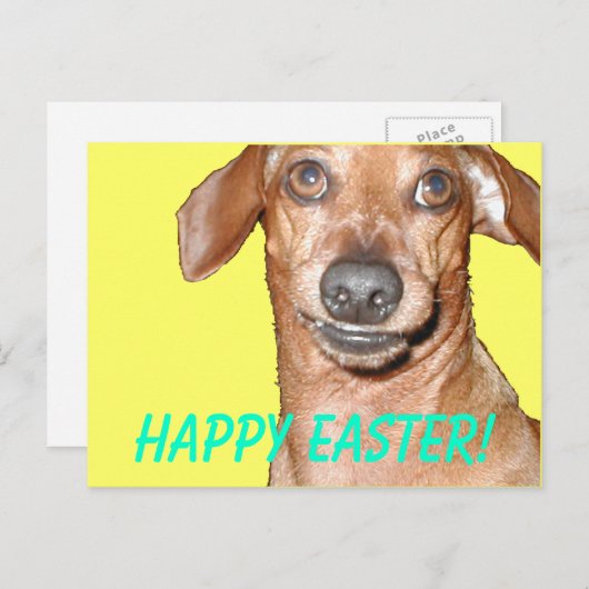 Vrolijk Pasen. Feestdagenkaart (Voorkant / Achterkant)