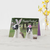 Vrolijk Pasen uit 2 Paaslamas Kaart (Gele Bloem)