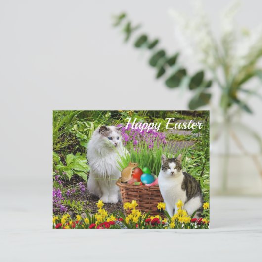 Vrolijk Pasen van uw kat-feestdag Briefkaart (Staand voorkant)