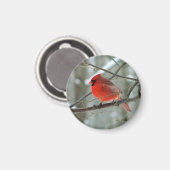 Vrolijk rood kardinaal magneet (Voorkant / Achterkant)