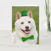 Vrolijk St Patrick's Day Iedereen Shiba Inu Dog Feestdagen Kaart (Voorkant)