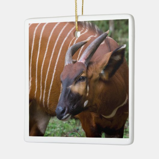 Vrolijke berg Bongo Antelope! Keramisch Ornament (Links)