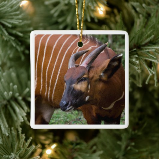 Vrolijke berg Bongo Antelope! Keramisch Ornament (Boom)