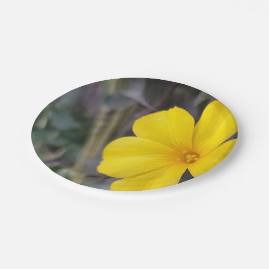 Vrolijke Bloemen Wegwerp Borden voor Partijen Papieren Bordje (Gekanteld)