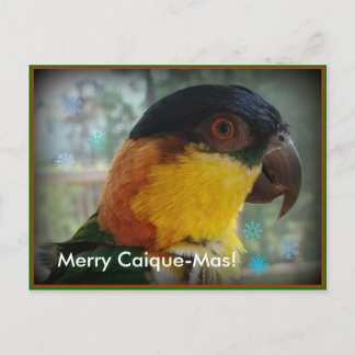 Vrolijke caique-Mas! Briefkaart